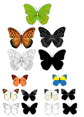 vector, isolated, butterfly on a white background