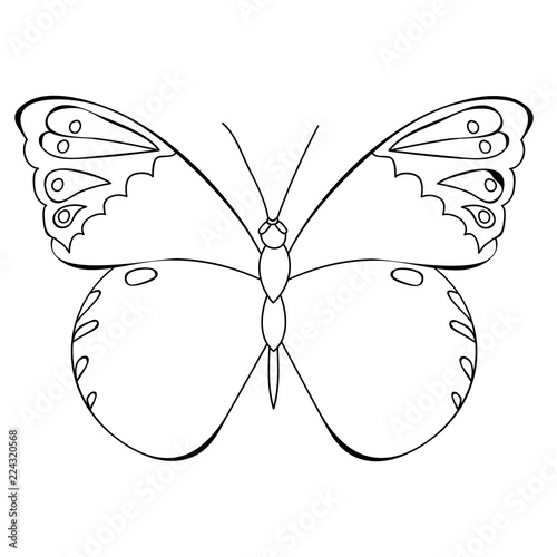 42 Coloring Book Images Of Butterflies HD
