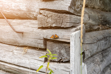 corner of a wall of an old wooden abandoned house