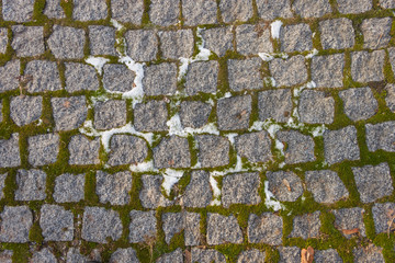 Pavement with moss and snow. background