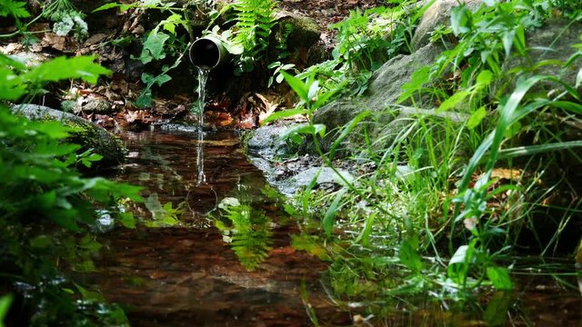 Clearly stream of water in clear forest, ecological environment