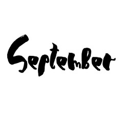 Hand drawn lettering element, months set, vector