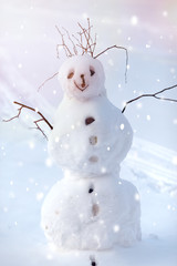 Funny Christmas Snowman on the background of snowy landscape
