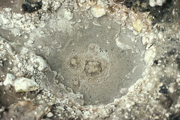 Spring with water from under the earth