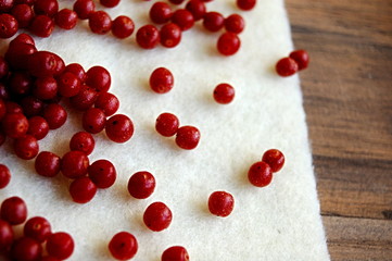 Früchte der Ölweide 11