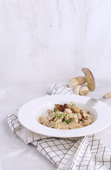 Mushroom risotto Traditional italian porcino rice Dish White background Checkered napkin Copy space