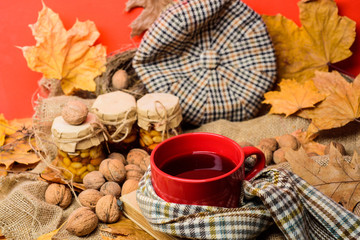 Mug of tea surrounded by scarf red background with fallen maple leaves and walnuts. Fall bucket list concept. Mug cozy aromatic tea beverage in scarf and treats. Enjoy cozy autumnal atmosphere