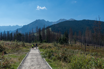 tatry rusinowa © Rafal Lechowicz