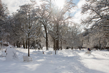 Winter in central park - Marianske Lazne (Marienbad) - great famous Bohemian spa town in the west part of the Czech Republic (region Karlovy Vary)