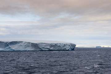 Huge Tabular Icebergs floating in Bransfield Strait near the northern tip of the Antarctic Peninsula, Antarctica