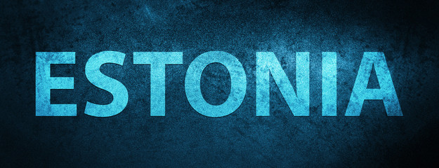 Estonia special blue banner background