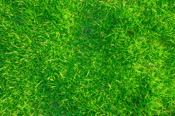Blue sky with clouds For background.