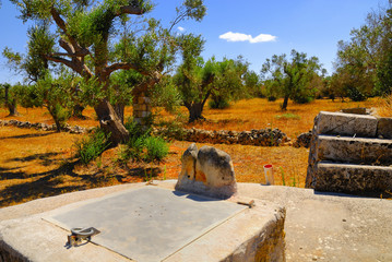 Old stone cistern with ancient olive trees, Salento, Apulia region, south Italy