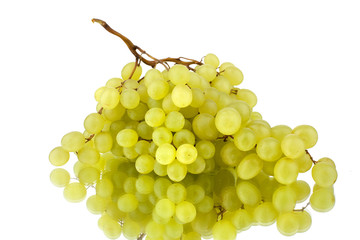 White grapes on white mirror background isolated close up