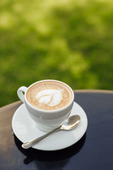 cup of cappuccino with plate and spoon on wooden tabletop in garden