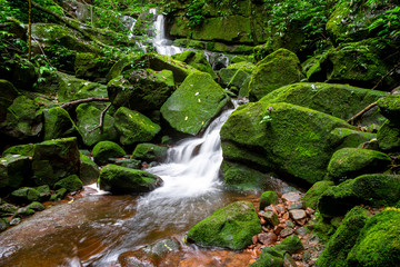 waterfall among nature green moss and rock