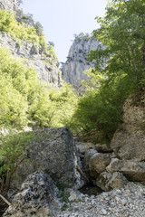 Fototapeta na wymiar Great mountain canyon in Crimea