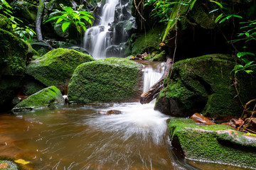 waterfall among nature green moss and rock