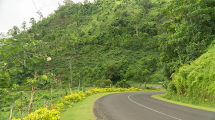 Fototapeta na wymiar Empty road leading through the tropical landscape of Samoa