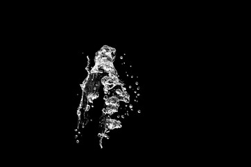 water splash  isolated on the black background - 224331588