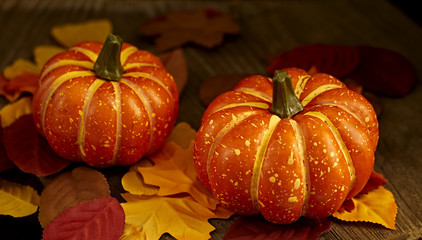 Autumn leaves and pumpkin wooden