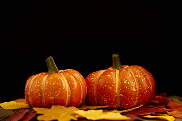 Autumn leaves and pumpkin wooden