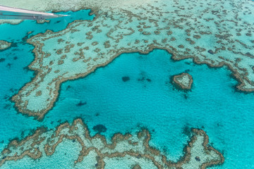 Fototapeta na wymiar Aerial view of Coral Reef, Australia