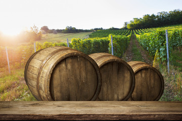 Obraz premium Ripe wine grapes on vines in Tuscany, Italy. Picturesque wine farm, vineyard. Sunset warm light