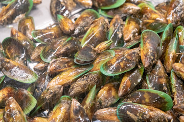 New Zealand Mussels