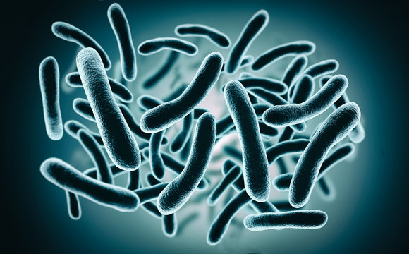 3D rendering Bacteria closeup
