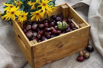 kasztany, symbol jesieni