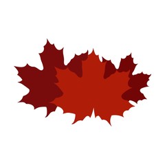 Maple leaf icon, autumn symbol