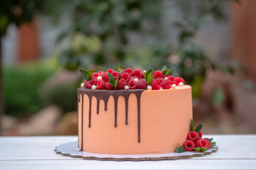 beautiful cake with peach cream