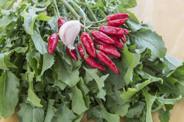 Cicoria aglio e peperoncini 