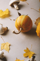 Autumn background with pumpkin