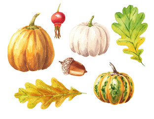 Hand drawn watercolor pumpkin set with red berry, acorn and leaves, isolated on white background. Food art illustration. Fall season clip-art, can be used for thanksgiving design.