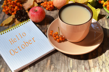 Tag with words hello october on the notebook cup of coffee lying on the books with dry yellow maple leaves and everlasting flowers on background © Dilya