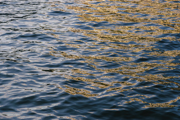Sea surface as natural background, color toned.