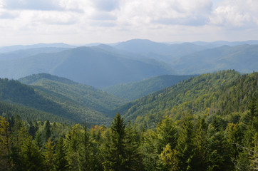 Mountains in the haze, trees in the foreground