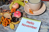 Tag with words hello november on the notebook cup of coffee lying on the books with dry yellow maple leaves and everlasting flowers on background