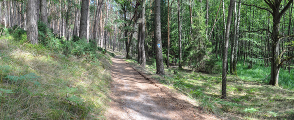 Bory Tucholskie National Park