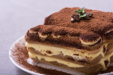 Homemade tiramisu cake