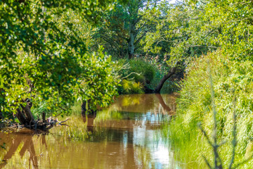 Vattendrag genom landsbygd