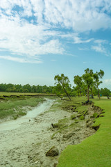 landscape with river and blue sky