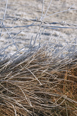 Glitzernde Winterlandschaft am Morgen, Raureif bedeckte Wiesen, Zäune, Maschendrahtzäune