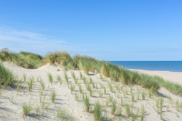 Dünenlandschaft an der Nordsee – Niederlande