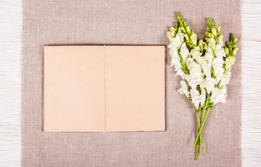 Book with empty pages. Texture background. Romantic background with open book and flowers.