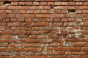 Brick wall of old bricks.