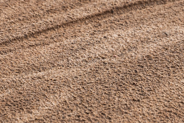 Background of wet river sand.