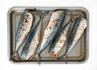 Mackerel fresh raw prepared with spices to bake in the oven on baking tray.